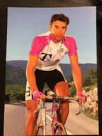 MIchel Lafis - Telekom - 1996 - Carte / Card - Cyclists - Cyclisme - Ciclismo -wielrennen - Cyclisme