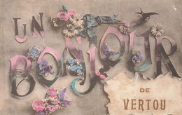 VERTOU - Un Bonjour De Vertou - Andere Gemeenten