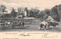 PLEUMARTIN - La Tour Et Les Remparts Du Vieux Château - Vaches - Pleumartin