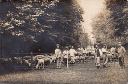 27 - EURE - LE VAUDREUIL - 10627 - Carte Photo - Bergers, Moutons - Le Vaudreuil