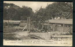 Carte Postale De Lyon -  Elevage De L'Arvor - La Poussinière - Réf D 124 - Crías