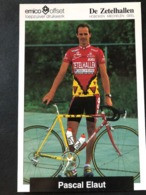 Pascal Elaut - Zetelhallen - 1994 - Carte / Card - Cyclists - Cyclisme - Ciclismo -wielrennen - Cyclisme