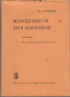 Kompendium Der Zoologie - Natuur