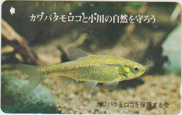 FISH - JAPAN - H036 - 110-011 - Poissons