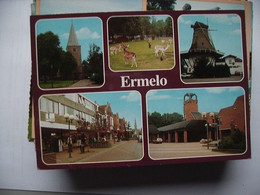 Nederland Holland Pays Bas Ermelo Met Herten Bij Molen - Ermelo