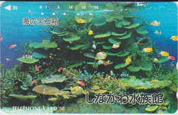 FISH - JAPAN - H044 - 110-011 - Pesci