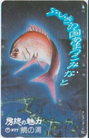 FISH - JAPAN - V011 - 250-260 - Vissen