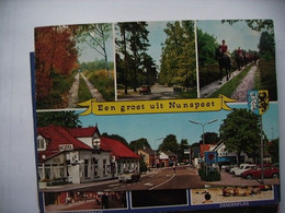 Nederland Holland Pays Bas Nunspeet Dorp En Natuur - Nunspeet