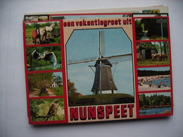 Nederland Holland Pays Bas Nunspeet Met Molen En Allemaal Dieren - Nunspeet