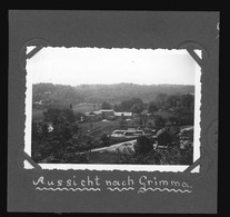 Orig. Foto 1938 Aussicht Auf Grimma Vom  Burghotel Aus Gesehen ? - Grimma