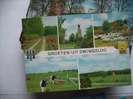 Nederland Holland Pays Bas Dwingeloo Met Schapen En Koeien - Dwingeloo