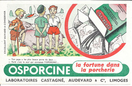 Buvard  OSPORCINE   Laboratoires Castagné, Audevard & Cie Limoges - Landwirtschaft