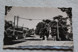 Cpsm 1960, Roquecourbe, Place Du Monument Aux Morts Et Route De Labessonnié, Tarn 81 - Roquecourbe