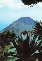 Salvador Volcan De Izalco - El Salvador