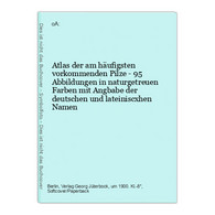 Atlas Der Am Häufigsten Vorkommenden Pilze - 95 Abbildungen In Naturgetreuen Farben Mit Angbabe Der Deutschen - Nature