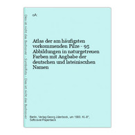 Atlas Der Am Häufigsten Vorkommenden Pilze - 95 Abbildungen In Naturgetreuen Farben Mit Angbabe Der Deutschen - Natuur