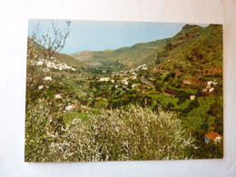 LAS PALMAS DE GRAN CANARIA - Valle De Agaete - La Palma