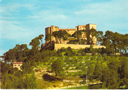 13 - Meyrargues - Château De Meyrargues (XIe Siècle) - Meyrargues