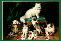 6 Chats  - Cats -katzen -  Poesjes Op Stoel - Katzen