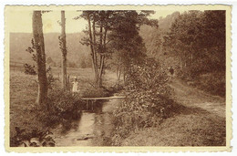 Trois-Ponts - Sous-Bois Pittoresque - Promenade Du Pouhon - Trois-Ponts