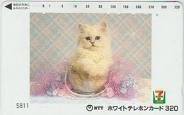 CATS - JAPAN - H024 - 110-011 - Gatti