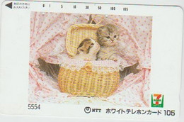 CATS - JAPAN - H025 - 110-011 - Gatti