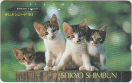 CATS - JAPAN - H028 - 110-27245 - Gatti