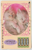 CATS - JAPAN - V024 - 110-011 - Gatos