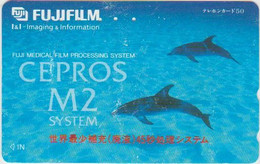 DOLPHINE - JAPAN-024 - 110-172155 - Delfini