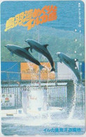 DOLPHINE - JAPAN-028 - 290-20910 - Delfines