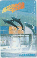 DOLPHINE - JAPAN-028 - 290-20910 - Delfini