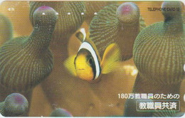 FISH - JAPAN - H049 - 310-00345 - Poissons