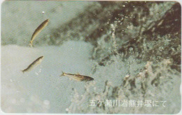 FISH - JAPAN - H050 - 110-011 - Poissons