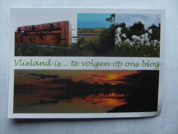 Nederland Holland Pays Bas Vlieland Staatsbosbeheer Blog - Vlieland
