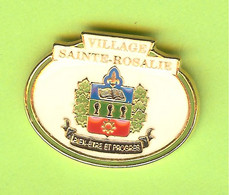 Pin's Ville Du Québec Sainte-Rosalie - 4FF27 - Villes