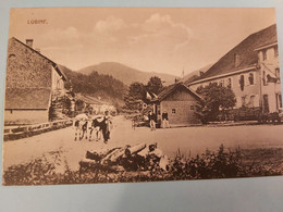 88 - LUBINE - Vosges -  Poste Frontière Début Années 1900 - Dogana