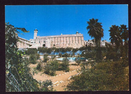AK 022688 PALESTINE - Hebron - Ibrahim Mosque - Palestine