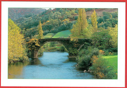 Pays Basque - Le Pont De Bidarray - Bidarray