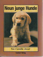 Neun Junge Hunde - Natuur