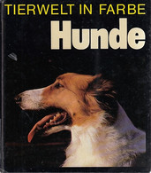 Tierwelt In Farbe: Hunde - Nature