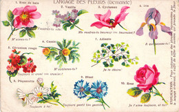 Le Langage Des Fleurs X2 Demande Et Réponse - Dos Non Divisé - Oblitéré En 1905 - Flowers