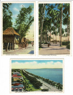 Lot 3 X CPA Philippines Philippinen Filipinas Philippijnen Old Postcard Cartes Postales Manila Dewey Boulevard Coconut - Filippijnen