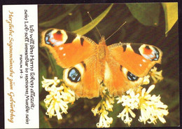 AK 022763 Butterfly - Papillons