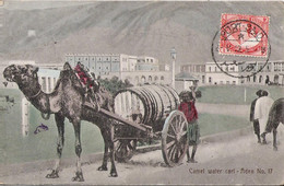 Yemen - Aden - Camel Water Cart - Yémen