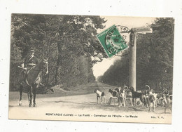 Cp, Sports , Chasse à Courre  , 45, MON+TARGIS ,la Forêt , Carrefour De L'ETOILE , La Meute, Voyagée 1914 - Hunting