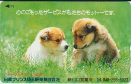 DOGS - JAPAN-051 - 110-011 - Cani