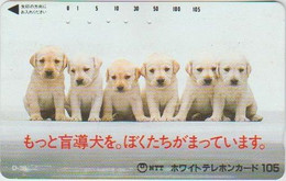 DOGS - JAPAN-059 - 110-011 - Cani