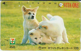 DOGS - JAPAN-061 - 110-011 - Chiens
