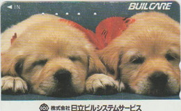 DOGS - JAPAN-064 - 110-011 - Cani