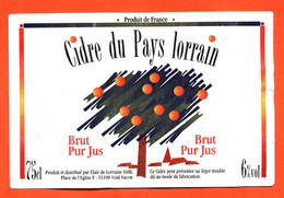 étiquette De Cidre Du Pays Lorrain Brut Clair De Lorraine à Void Vacon 55190 - 75 Cl - Fruit En Groenten